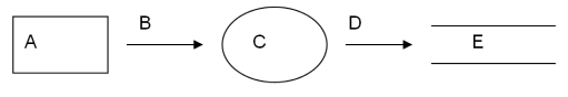   -In the partial data flow diagram above, symbol  B  could represent: A)  Preparing a purchase order. B) Updating the accounting information system. C) Transmitting data to a vendor. D)  A receiving report.