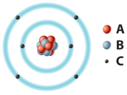 The positively charged particle labeled A is called a(n) ____.   A) electron B) neutron C) proton D) hydrogen