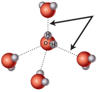 What kind of bond is indicated by the arrow in this diagram?   A) Covalent B) Hydrogen C) Ionic D) Nonpolar