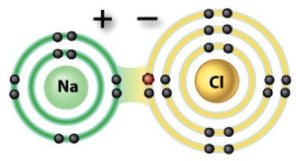What kind of a bond is depicted in this diagram?   A) Covalent B) Hydrogen C) Ionic D) Nonpolar