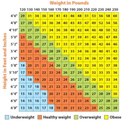 Use the body mass index to determine which number would represent the BMI for a person who is at a healthy weight?   A) 18 B) 24 C) 26 D) 31