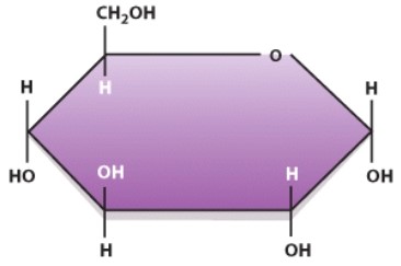 Identify the category of macronutrient from which this molecule is derived during normal conditions.   A) Protein B) Lipid C) Carbohydrate D) Vitamin