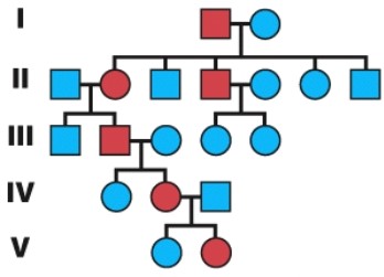 The diagram shows that the inherited trait is:   A) autosomal dominant. B) autosomal recessive. C) sex-linked. D) sex influenced.