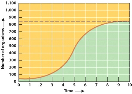 At 10 hours,the population shown in this graph has reached the:   A) carrying capacity for this environment. B) biotic potential of the organism. C) J-curve plateau. D) J-curve dip.