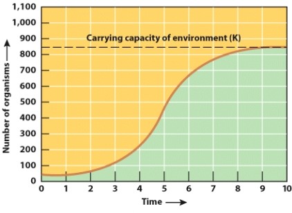 The shape of this curve is known as exponential growth and is typical of the human population.   
