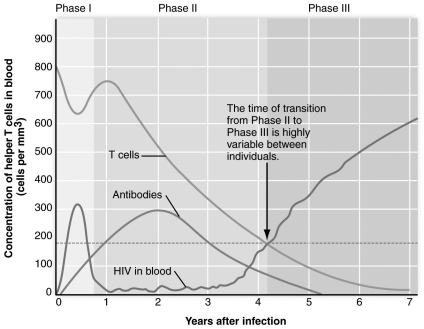   -Referring to the figure above, the progression from Phase II HIV infection to Phase III is marked by A)  a high fever and swollen lymph nodes B)  drop in the helper T cell count to less than 200/mm³ C)  complete absence of antibodies to HIV D)  decreasing number of HIV in the blood E)  helper T cell numbers recovering from an initial drop