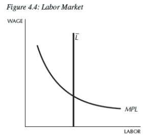   -In Figure 4.4,MPL represents the __________,   Represents the __________,and the intersection of the two yields __________. A) labor supply;labor demand;the equilibrium wage B) labor demand;labor supply;the equilibrium wage C) labor supply;labor demand;the equilibrium rental rate of capital D) labor demand;labor supply;the amount of capital hired E) None of the above is correct.