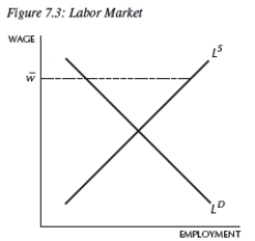   -Consider the labor market depicted in Figure 7.3.Wage w¯ is called __________ and __________. A) wage rigidity;reduces unemployment B) wage rigidity;decreases labor market volatility C) a flexible wage;increases labor market volatility D) wage rigidity;increases labor market volatility E) the market wage;increases unemployment