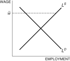  Refer to the following figure when answering   Figure 7.4: Labor Market   -Consider the labor market depicted in Figure 7.4. Wage,  \bar { w }  , is called ________ and ________ unemployment. A)  a wage ceiling; does nothing to B)  a wage rigidity; increases C)  the market wage; does nothing to D)  the market wage; increases E)  a wage rigidity; decreases 