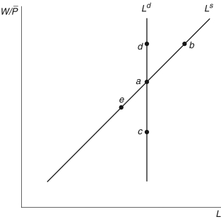  Refer to the following figure when answering   Figure 15.3: The Labor Market   -In the stylized DSGE model for the labor market displayed in Figure 15.3, with sticky prices, a monetary contraction would move the labor market from ________ because ________. A)   a \rightarrow e;  of  A D  , and therefore real GDP falls B)   a \rightarrow d;  nominal wages and inflationary expectations rise C)   b \rightarrow a;  real wages fall, so workers supply less labor D)   a \rightarrow c;  future consumption falls, increasing labor supply E)   e \rightarrow c;  the labor market clears, but output markets do not 