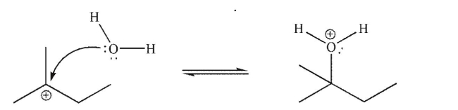 What is the LUMO in the mechanistic step shown here?  