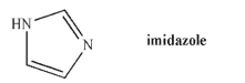 Which nitrogen in imidazole is more basic? Explain your answer.  