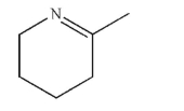 An acyclic compound was treated with trace acid to produce this structure.   Draw the structure of the acyclic compound.