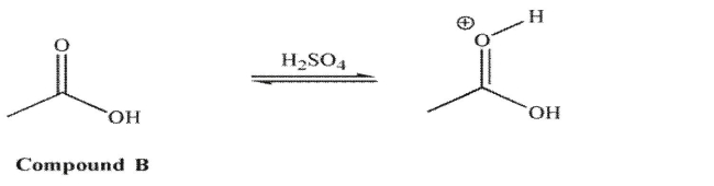 For compound A, in acid, it is the hydroxyl oxygen that is protonated to a greater extent than the carbonyl oxygen.   However, for compound B in acid, it is the carbonyl oxygen that is protonated to a greater extent than the hydroxyl oxygen.   Explain the difference in these results.