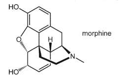What common heterocycle moiety is present in the structure of alkaloid morphine?  