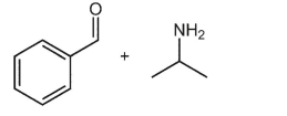 What is the product of the following reaction?  