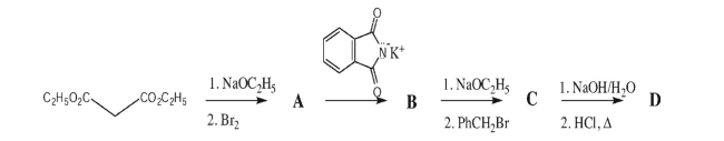 Draw the intermediates and product in the Gabriel synthesis of an amino acid.  