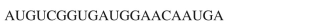 What polypeptide would be produced from an mRNA fragment with the following sequence of codons?  