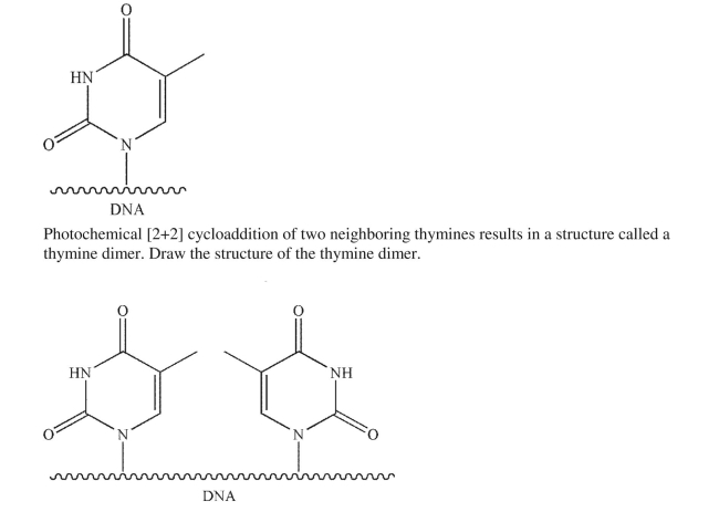 One of the monomers that makes up the DNA polymer is thymine.  <div style=padding-top: 35px> 