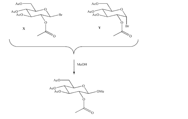 Both bromoglucosides X and Y, when dissolved in methanol, give the same product, a methyl glycoside.Propose an explanation for this result based on neighboring group effects.  
