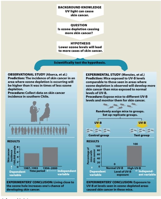  Infographic 2.6.  -Refer to Infographic 2.6. Taken together, do these two studies prove that lower ozone levels directly cause skin cancer in humans? Why or why not? 