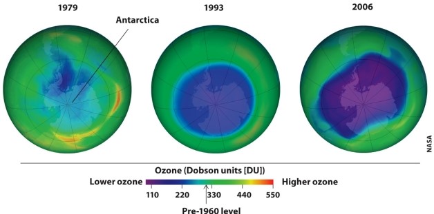  Infographic 2.7.    -Refer to the right-hand panel of Infographic 2.7. The Montréal Protocol and its amendments have phased out the use of CFCs worldwide. Still, the protective ozone layer over Antarctica continues to shrink. Please give several reasons why this occurs and why it will continue to occur for some time. 