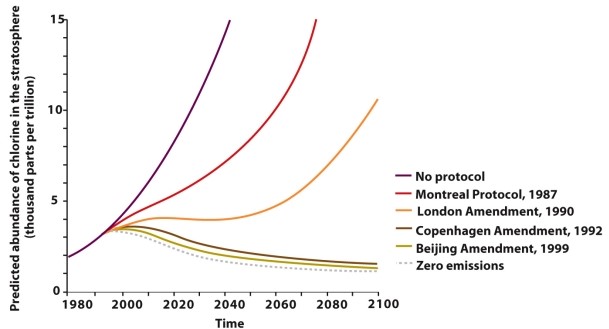  Infographic 2.7.   -Refer to Infographic 2.7. Comparing the Beijing Amendment (1999) to no protocol, by what percent was chlorine in the stratosphere depleted in 2010? 