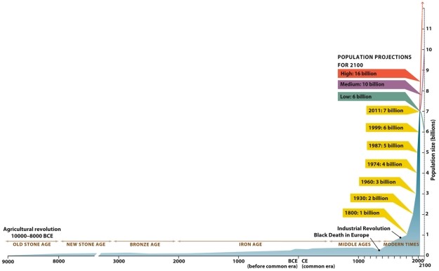   Infographic 4.1.  -Refer to Infographic 4.1. As an emergency food supply in World War II, 20 reindeer were taken to an island in the Pacific, along with troops stationed there. Shortly thereafter, the war ended and the troops returned home, leaving the reindeer behind. After 10 years, the population of reindeer had increased to 6,000. However, with no predators and limited food and space available on the island, the population crashed, with no reindeer remaining after 10 more years. Describe what lessons can be learned from this as it applies to human populations on Earth.