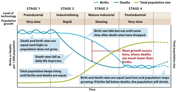 Infographic 4.5. Refer to Infographic 4.5. The AIDS epidemic continues to affect certain African countries especially hard, as it targets individuals of reproductive and pre-reproductive age. Describe how this epidemic might prevent a country from proceeding through the demographic transition. In which stage might they be stuck?