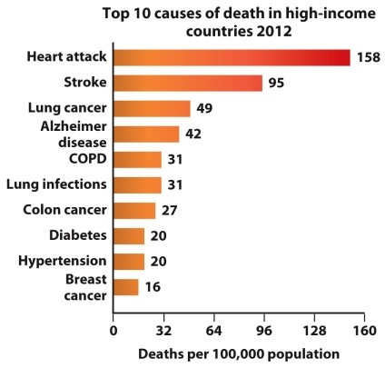  Infographic 5.6.   -Refer to Infographic 5.6. In order of highest impact to lowest impact, what causes deaths in high-income countries? A)  lung cancer > stroke > breast cancer > diabetes B)  diabetes > lung infections > COPD > heart attack C)  stroke > colon cancer > hypertension > breast cancer D)  heart attack > stroke > COPD > Alzheimer's disease E)  colon cancer > diabetes > hypertension > lung infections
