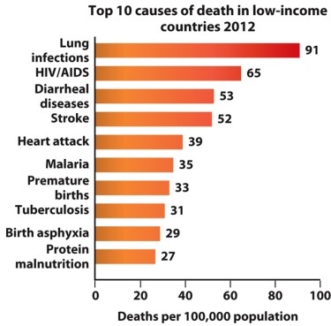 Infographic 5.6.    -Which prevention method would have the greatest impact on reducing the death rate in low-income countries? (Refer to Infographic 5.6.)  A)  access to clean water B)  vector exposure reduction C)  education D)  effective public policy E)  air pollution reduction