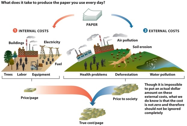 Infographic 6.5.   -Refer to Infographic 6.5. Why is it important to consider the cost to an ecosystem when purchasing a product as well as considering the price of the object or service?