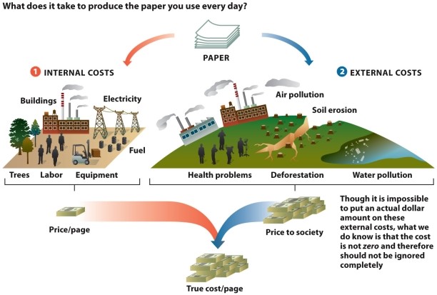 Infographic 6.5. Refer to Infographic 6.5. You can find a double cheeseburger on the dollar menu at many fast-food chains. Use the infographic to describe how the true cost of that food product is not reflected by the sale price.