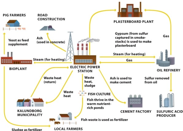 Infographic 7.7.   -Refer to Infographic 7.7. Use the infographic to describe an eco-industrial park and the advantages of using such innovations.