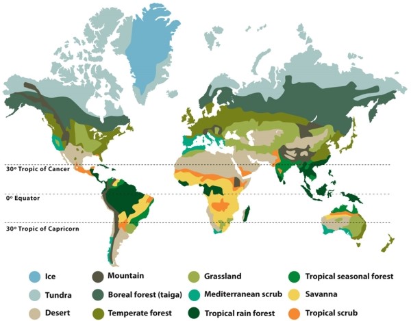 Infographic 8.4.   -Refer to Infographic 8.4. From the infographic, which type of biome is mostly found 30° north or south of the equator? What conditions exist there?