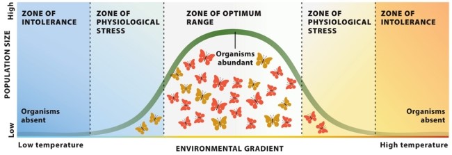 Infographic 8.6.   -Refer to Infographic 8.6. For several years, you have been investigating the effects of a warmer climate on a butterfly population. Recently, you have noticed that the butterflies found in what would traditionally be the zone of physiological stress are growing and breeding more successfully than the butterflies in the zone of optimum range. How do you explain this shift?