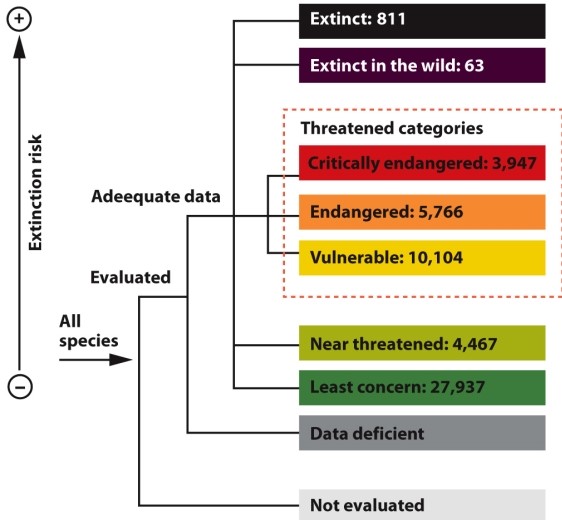Infographic 13.2.   -Refer to Infographic 13.2. Why might the number of species counted in the Red List of Threatened Species be underestimated in every category?