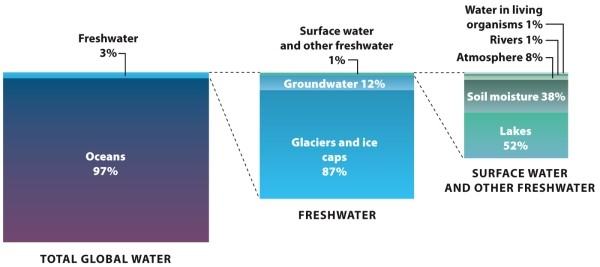 <strong>Infographic 14.1. Refer to Infographic 14.1. Which of the following contains the most surface freshwater?</strong> A) groundwater B) glaciers and ice caps C) soil moisture D) rivers E) lakes