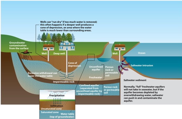 Infographic 14.4. Refer to Infographic 14.4. Explain the relationships between the saturated and unsaturated zones, precipitation and infiltration, and the water table.