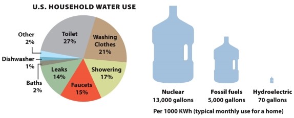 <strong>Infographic 14.6. Refer to Infographic 14.6. Which of the following represents the largest single use of water in a typical U.S. household?</strong> A) leaks B) baths C) showering D) washing clothes E) toilets