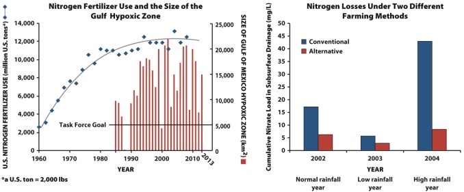  Infographic 15.4,   -In Infographic 15.4, the relationship between the amount of nitrogen fertilizer used and the size of the Gulf hypoxic zone is shown. In 2000 there is a decrease in the size of the hypoxic zone. What caused this decrease, and why would it have an effect on the size of the hypoxic zone? 