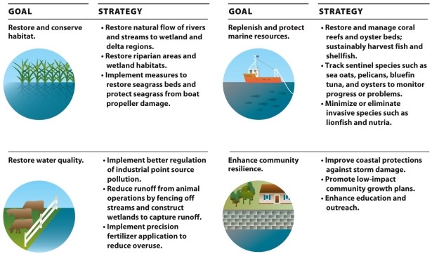   Infographic 15.7.   -Choose three strategies from the Gulf of Mexico Regional Ecosystem Restoration plan in Infographic 15.7. Explain what the goals of those strategies are and, if implemented, how the strategies will help reach those goals. 