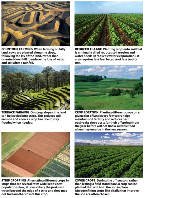 Infographic 17.6.   -Refer to Infographic 17.6. Which methods increase soil fertility, and why?