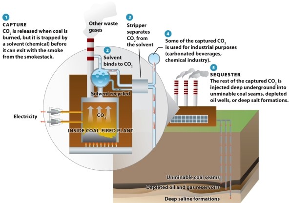 Infographic 18.7.   -Refer to Infographic 18.7. Explain how carbon dioxide can be captured.
