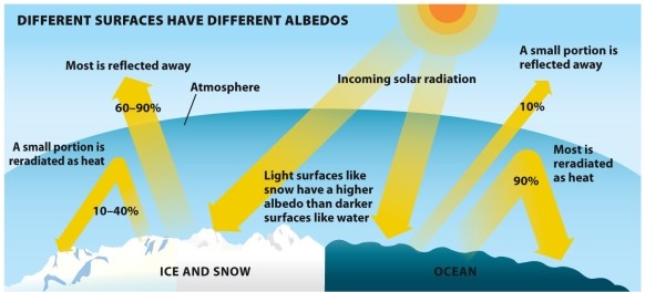 Infographic 21.4.   -Refer to Infographic 21.4. Explain why the Arctic is particularly vulnerable to climate change.
