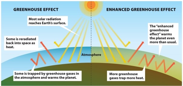 Infographic 21.3.   -Refer to Infographic 21.3. Describe how the greenhouse effect works. What is different with the enhanced greenhouse effect, and what are the main causes of it?