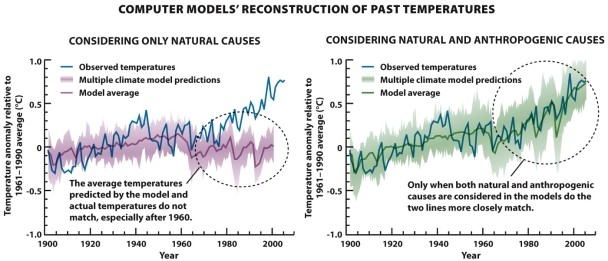   -Refer to Infographic 21.8. What is the scientific consensus regarding the cause of the recently observed changes in global climate?