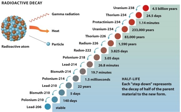 Infographic 22.2.   -Refer to Infographic 22.2. Which of the following isotopes would be the safest to handle in the shortest period of time? (Radioactive isotopes are considered safe to handle after 10 half-lives.)  A)  uranium-234 B)  uranium-238 C)  thorium-234 D)  thorium-226 E)  protactinium-234