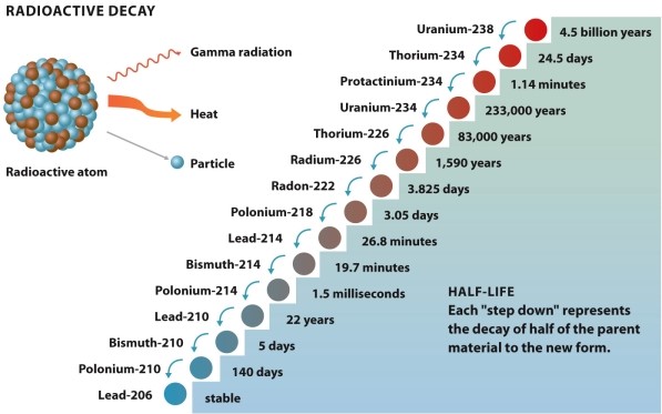 Infographic 22.2.    -Refer to Infographic 22.2. Which of the following isotopes would you expect to find in the greatest amount throughout the universe? A)  uranium-238 B)  thorium-234 C)  protactinium-234 D)  uranium-234 E)  thorium-226
