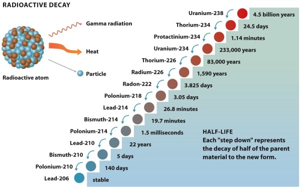 <strong>Infographic 22.2.   Refer to Infographic 22.2. Why is the progression of uranium-238 to the stable lead-206 such a concern?</strong> A) There is no guarantee that the uranium-238 will progress in this manner, so it might become something even more dangerous. B) The long length of time it takes for uranium-238 to become harmless means it is difficult to dispose of in a safe manner. C) Uranium-238 is the quickest of the radioactive elements to decay; the others are even more dangerous. D) Uranium-238 is the most reactive of the uranium isotopes and so is the most dangerous. E) Uranium-238 is the least common of the uranium isotopes and so is the hardest to find. <div style=padding-top: 35px> 